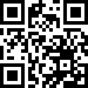 QR Code Preview